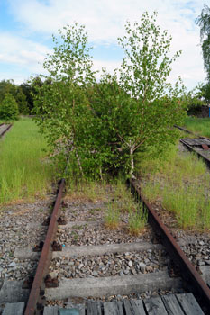 Waldviertler Schmalspur